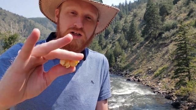 Eel Cola with Togarashi Popcorn смотреть онлайн