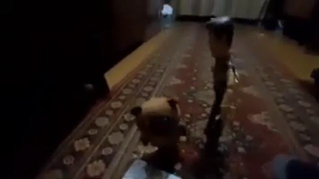 сборник n 9 ночной воришка смотреть онлайн