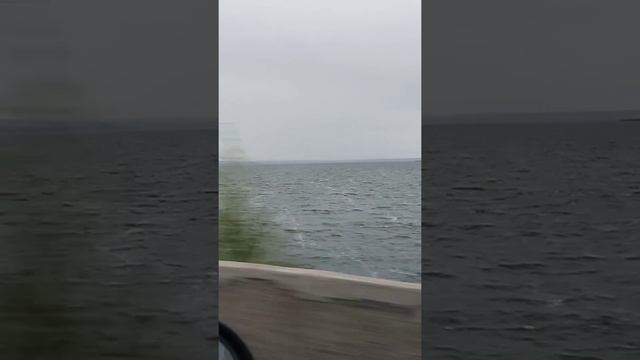 Шершни | Озеро | Водохранилище смотреть онлайн