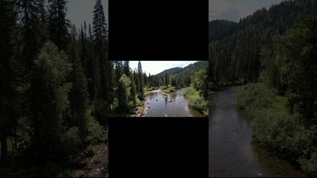 небольшие полеты и видео природы смотреть онлайн