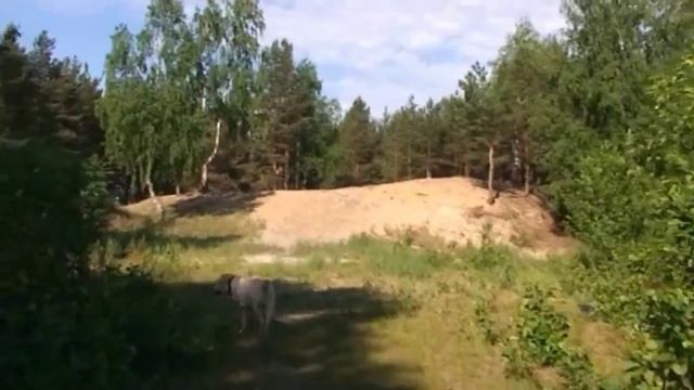 песня двд.mpg смотреть онлайн