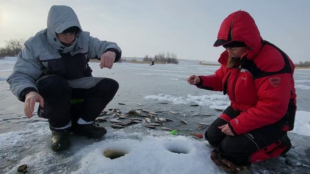 1000246390.mp4 смотреть онлайн