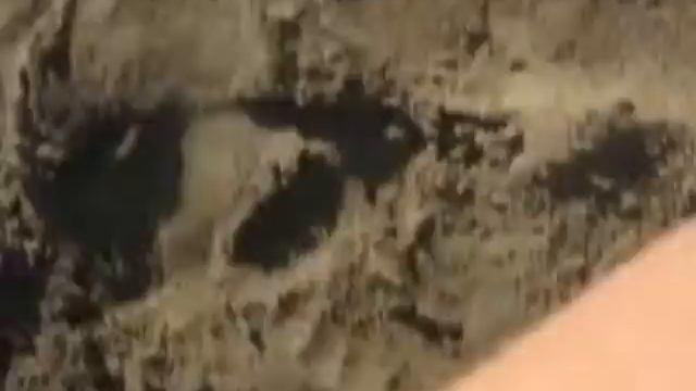 День варенья :) смотреть онлайн