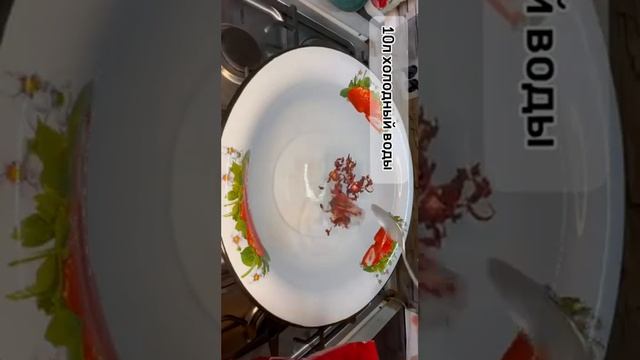 КАМПОТ ИЗ КАРКАДЭ. Напиток из Каркаде смотреть онлайн