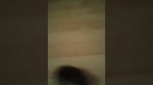 Хомяк Саня