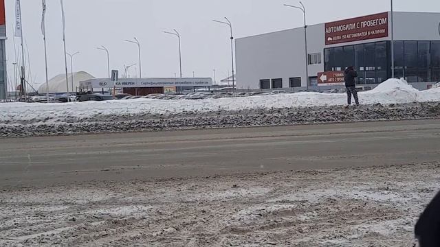 Медведь в г.Нижневартовске. 17.03.2021 смотреть онлайн