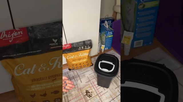 Orijen kitten mama incelemesi😻 смотреть онлайн