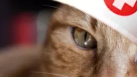 играю в чикенган часть 4