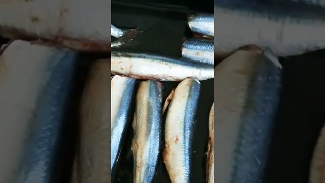 САРДИНА в духовке #food #вкусно #еда #быстро вкусно и полезно#вкусные рецепты # смотреть онлайн