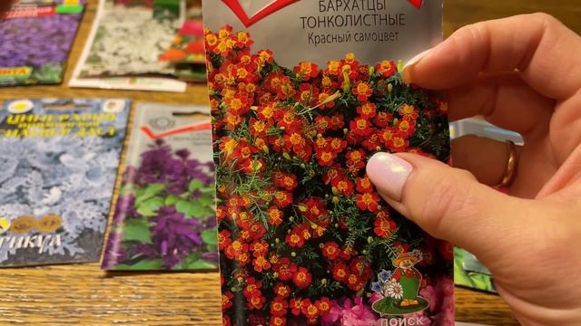 ТОЛЬКО САМЫЕ ЛУЧШИЕ, КРАСИВЫЕ И НЕ ПРИХОТЛИВЫЕ ЦВЕТЫ ДЛЯ УЧАСТКА!!! смотреть онлайн