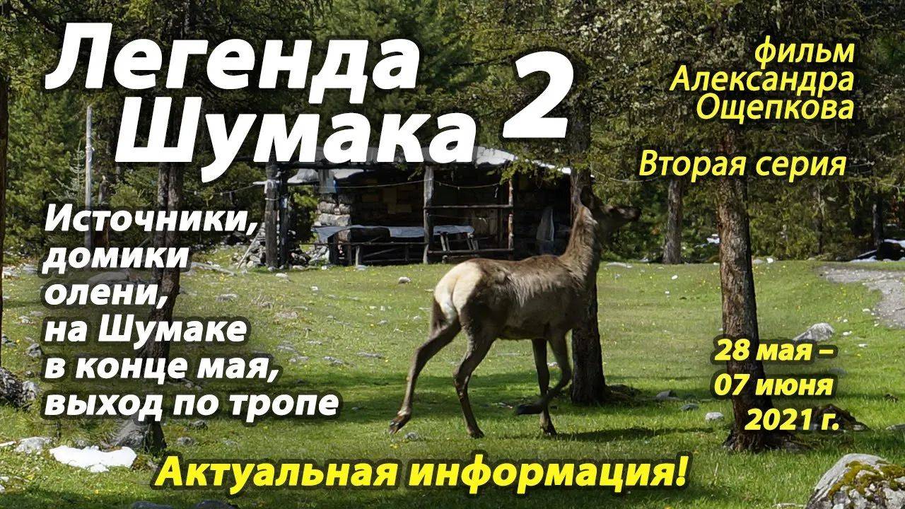 Легенда Шумака 2021, июнь 2 серия