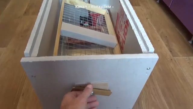 Куриный инкубатор своими руками, аналог Блиц Норма смотреть онлайн