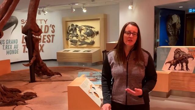 A Visit with Scotty the T. rex смотреть онлайн