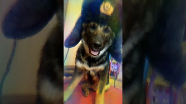 ЛУКАШЕНКО ЗВОНИТ В ВОЕНКОМАТ / 16.06.2021 смотреть онлайн