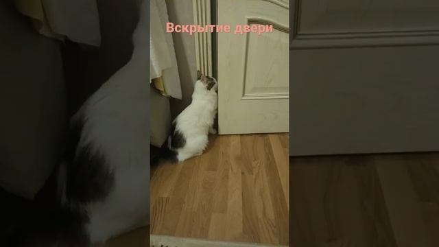 взлом двери смотреть онлайн