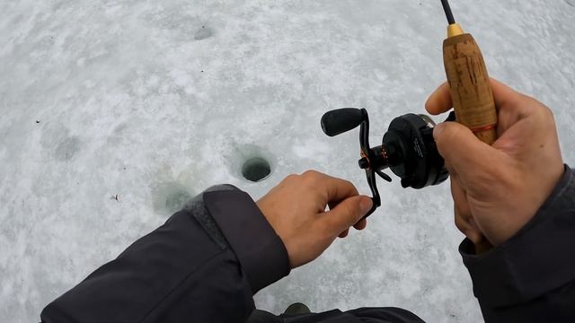 Торжество щучьих поклевок на пруду