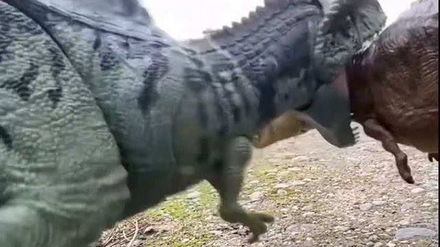 Giganotosaurus VS T.Rex Gigantic Battle!