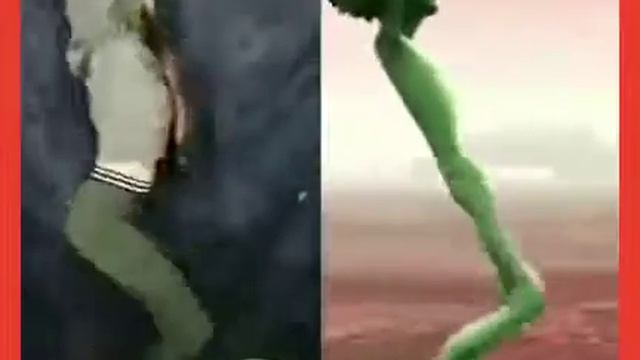 Qo‘llar tepaga Paka-pak! смотреть онлайн