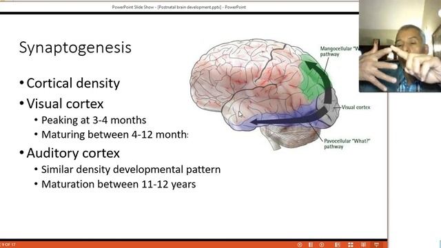Postnatal development смотреть онлайн