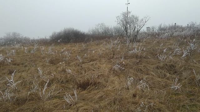 "Хомутовская степь" - отделение заповедника "Степь Донецкая" смотреть онлайн