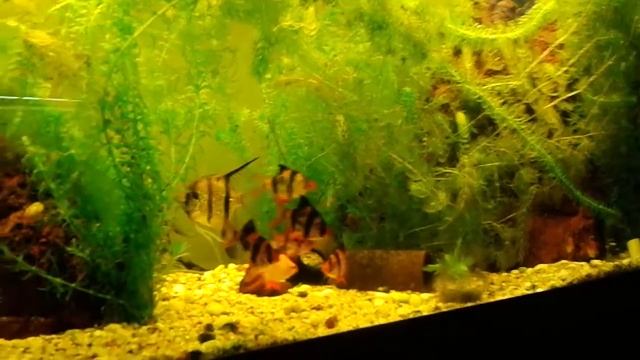 20190908 185440 смотреть онлайн