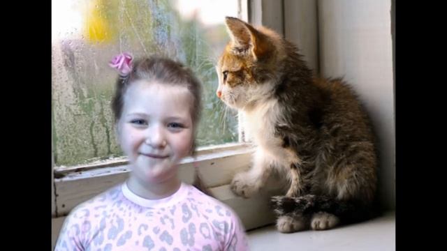 Стихотворение Котенок