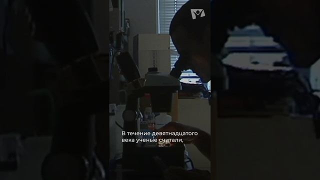 Разумный Дизайн: Основы Научного Понимания