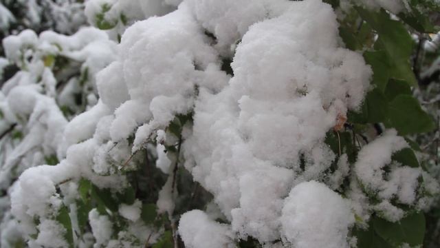 Алматы. Октябрь. Первый снег смотреть онлайн