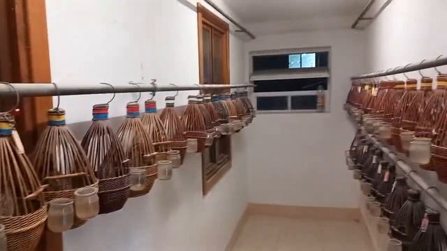 sayroqi bedana Bomba 🏅👍🔥пение перепела бомба 🏅👍🔥 смотреть онлайн