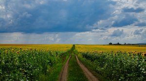 Пейзажи | Фотографии природы