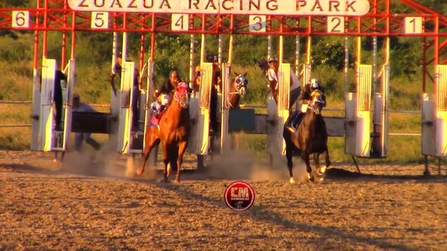 LA MAMBA VS EL TORO смотреть онлайн