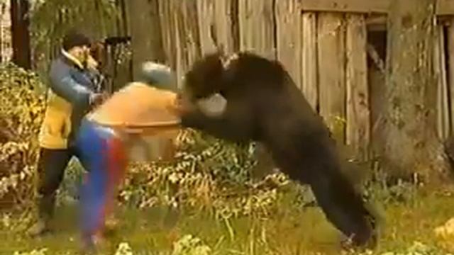 Медвежья любовь смотреть онлайн