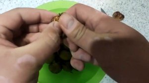 Грецкий орех открыть легко! Как быстро почстить грецкий орех