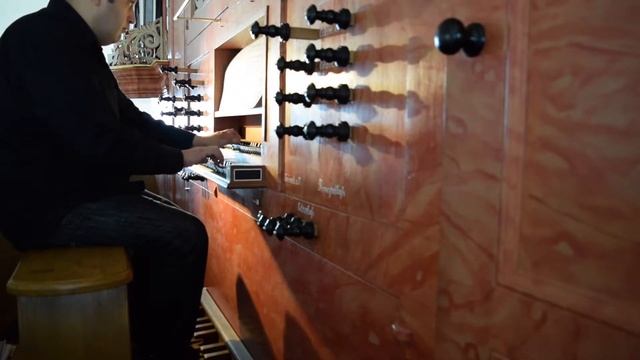 O wir armen Sünder unser Missetat (Anon. 17th Century) - Felipe Dominguez, organ смотреть онлайн