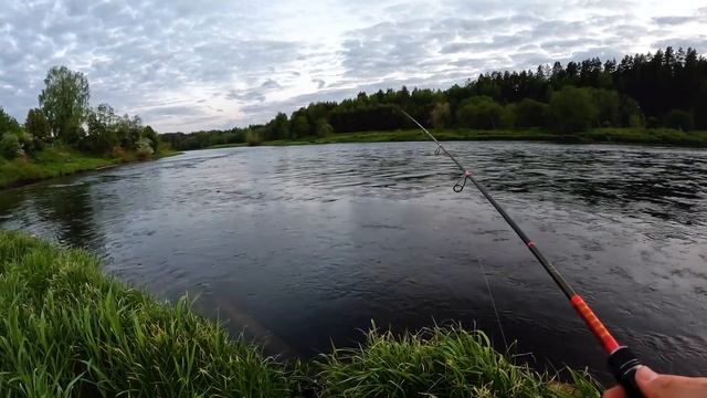 Голавлевое противостояние колебалок и стиков