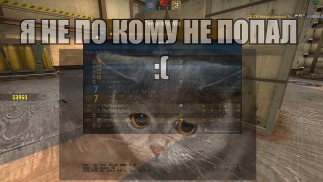 КАК МЫ С ГУСЕМ КЕШ ИГРАЛИ - МОНТАЖ - CS:GO смотреть онлайн