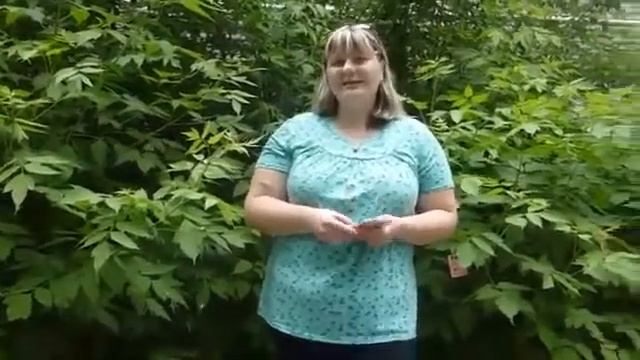 Мое ЕЛЕНА зарплата Skinny Body Care 20 06 2014 смотреть онлайн