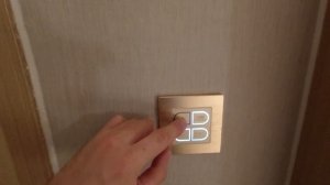 ТРАНЗИТ ЧЕРЕЗ КИТАЙ 2024: Пересадка в ШЕНЬЧЖЕНЕ | Выход в Город | ВЛОГ ШЕНЬЧЖЕНЬ