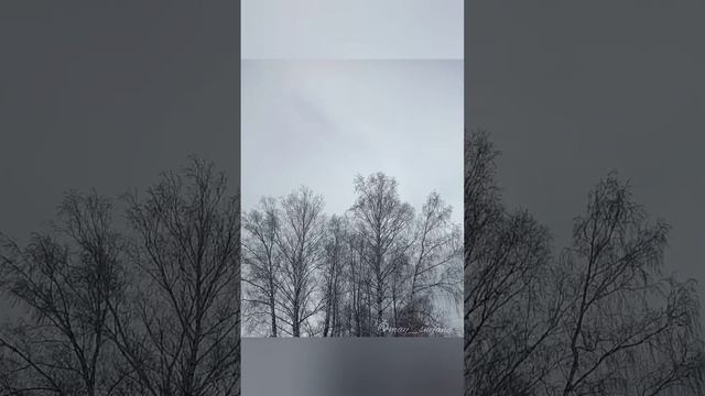 Предчувствие Весны смотреть онлайн