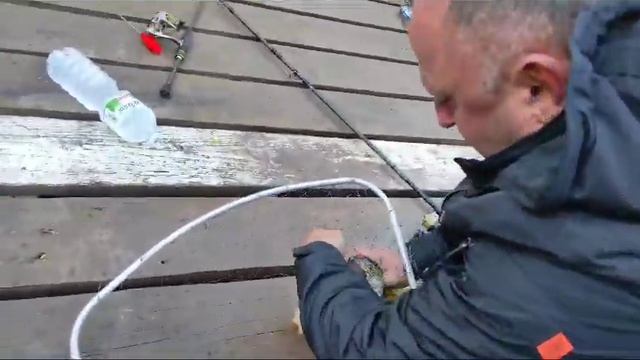 Cool Place магот рулит 👍 смотреть онлайн