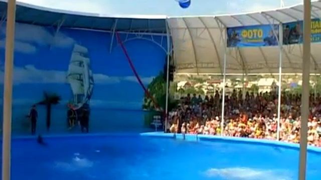 Открытие Судакского дельфинария 14 июня 2013 г смотреть онлайн