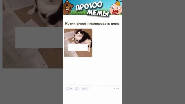 Мемы 2022 #мемы #мем #коты #котики #приколы #кошки #кот #котик #shorts смотреть онлайн