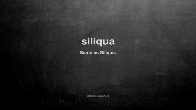 What does siliqua mean смотреть онлайн