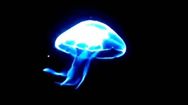 3D Hologram Fan смотреть онлайн