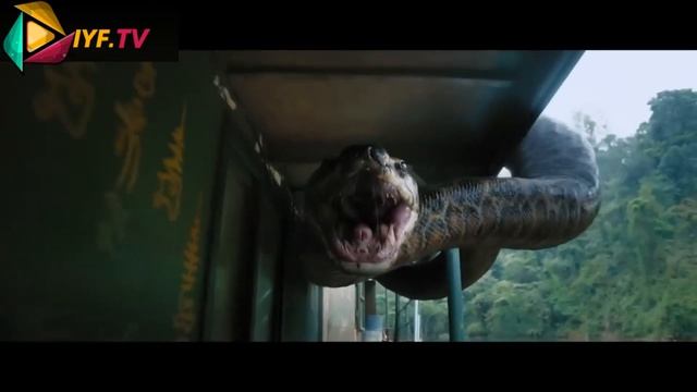 Anaconda 2024 | Anaconda |Chinese Anaconda |HUNDRED POISONS RAMPAGE|hide And Seek Song