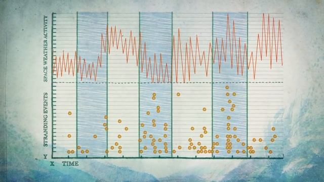 Saving Dolphins with Satellite Data? NASA and Marine Biologists Collaborate смотреть онлайн