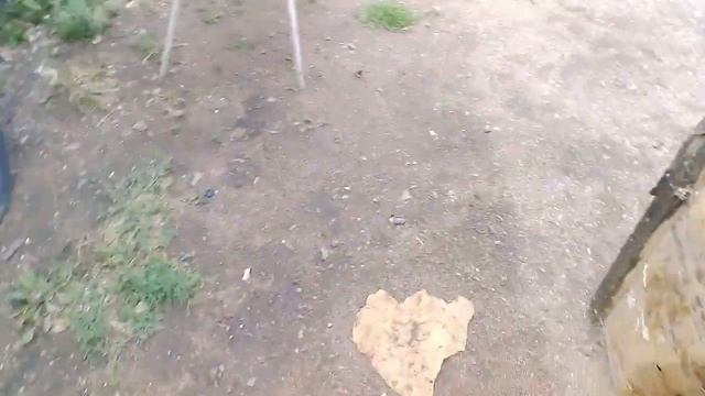 Убираю будку своей собаки смотреть онлайн