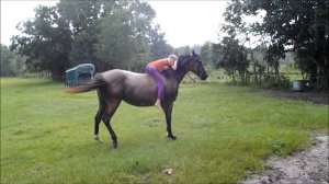 I want crazy! - horses rearing bareback
