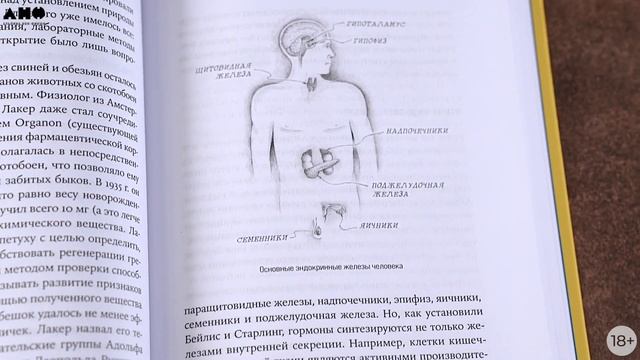 «Тестостерон» Кэрол Хувен смотреть онлайн