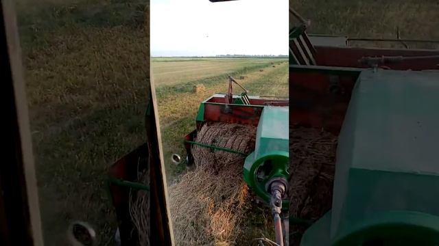 Попалось поле с хорошей массой. смотреть онлайн